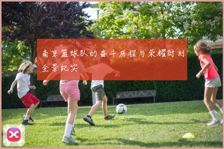 南京篮球队的奋斗历程与荣耀时刻全景纪实