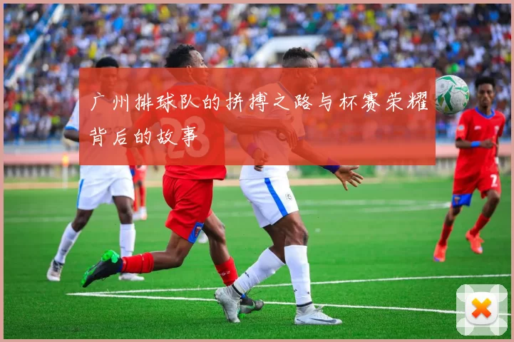 广州排球队的拼搏之路与杯赛荣耀背后的故事