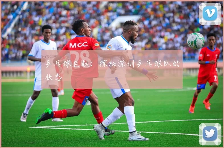 乒乓球巨献：探秘深圳乒乓球队的状态