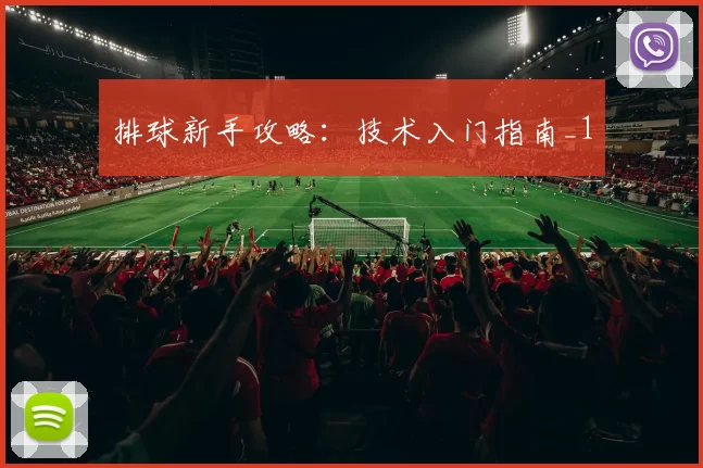 排球新手攻略：技术入门指南_1