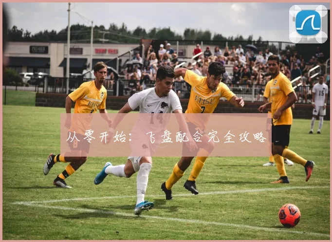 从零开始：飞盘配合完全攻略