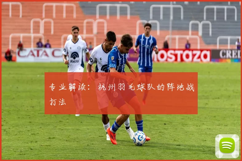 专业解读：杭州羽毛球队的阵地战打法