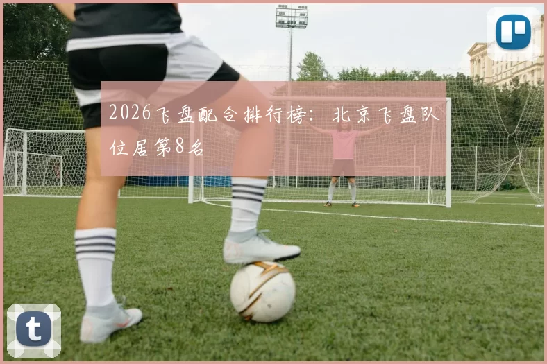 2026飞盘配合排行榜：北京飞盘队位居第8名