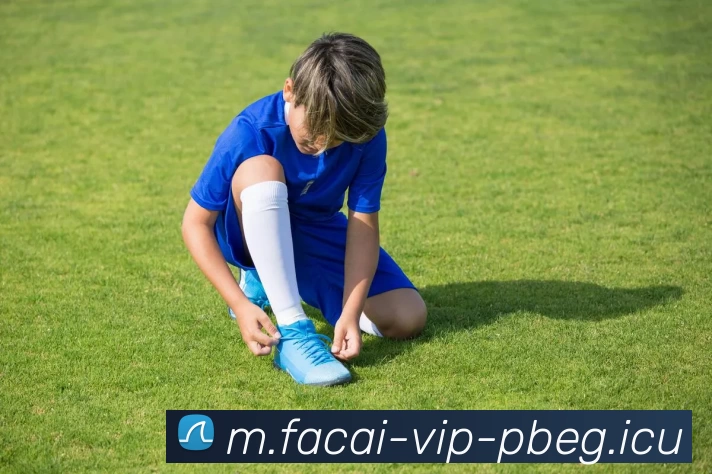 MK体育APP 封面图